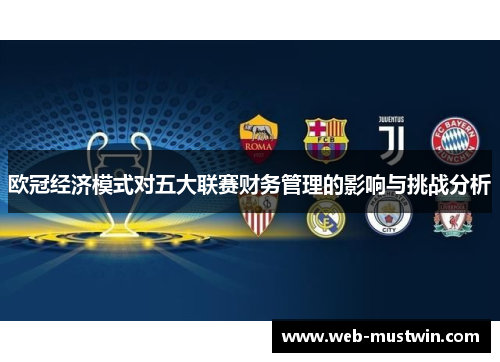 欧冠经济模式对五大联赛财务管理的影响与挑战分析