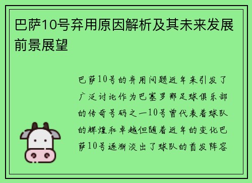 巴萨10号弃用原因解析及其未来发展前景展望