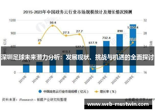 深圳足球未来潜力分析：发展现状、挑战与机遇的全面探讨