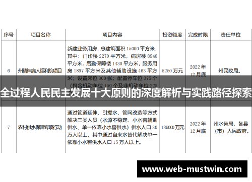 全过程人民民主发展十大原则的深度解析与实践路径探索