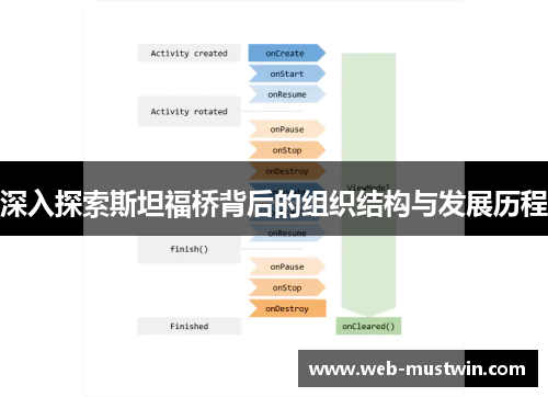 深入探索斯坦福桥背后的组织结构与发展历程