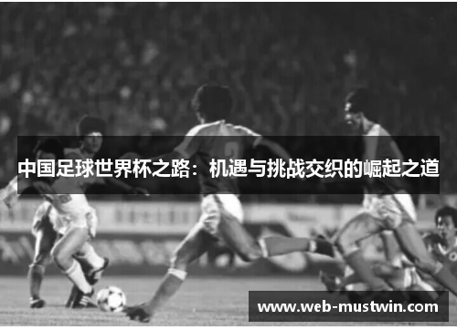 中国足球世界杯之路：机遇与挑战交织的崛起之道