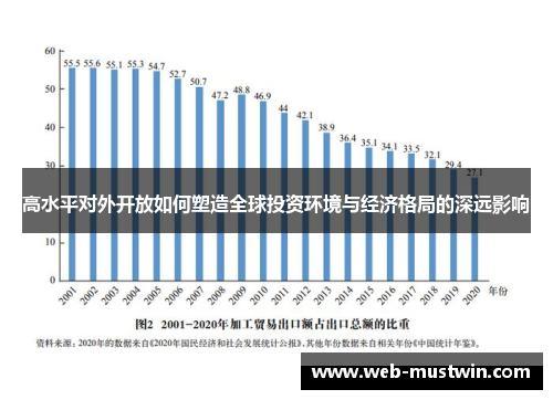 高水平对外开放如何塑造全球投资环境与经济格局的深远影响